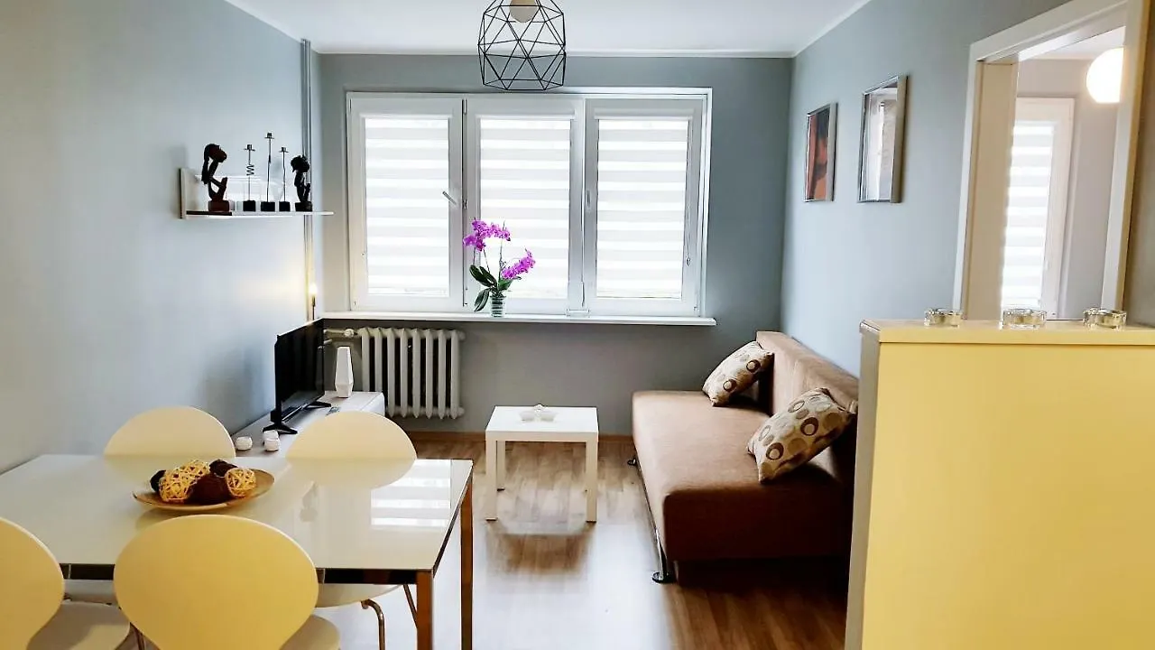 City Stogi Apartament contacts